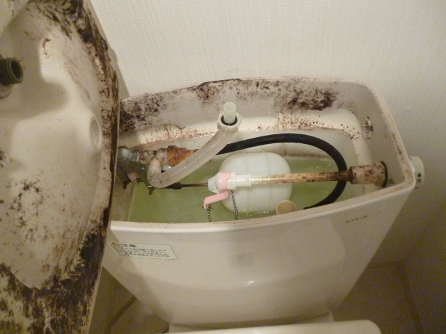 大阪市|トイレ掃除